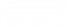 Logo GONEL