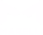 Logo MAGNETI MARELLI